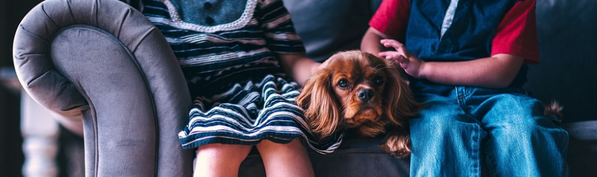 어린이와 강아지가 함께 소파에 앉아있는 이미지