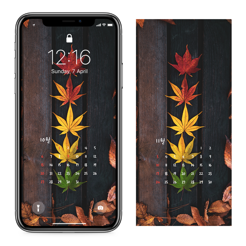 02 단풍잎 AB - 2024년10월 아이폰달력배경화면