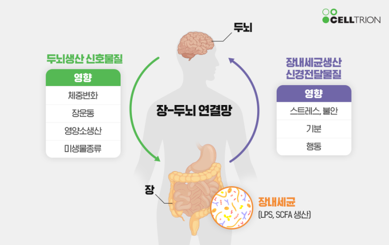 마이크로바이옴 장뇌축이론 유산균 장건강 체중변화 불안 장운동