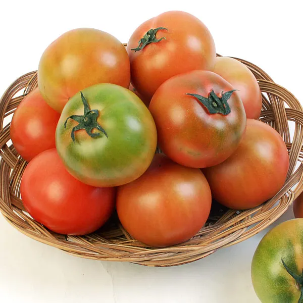 대저토마토 효능 부작용_5