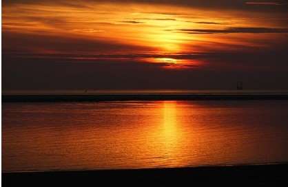 2026년 병오년 신년운세 무료로 보는법