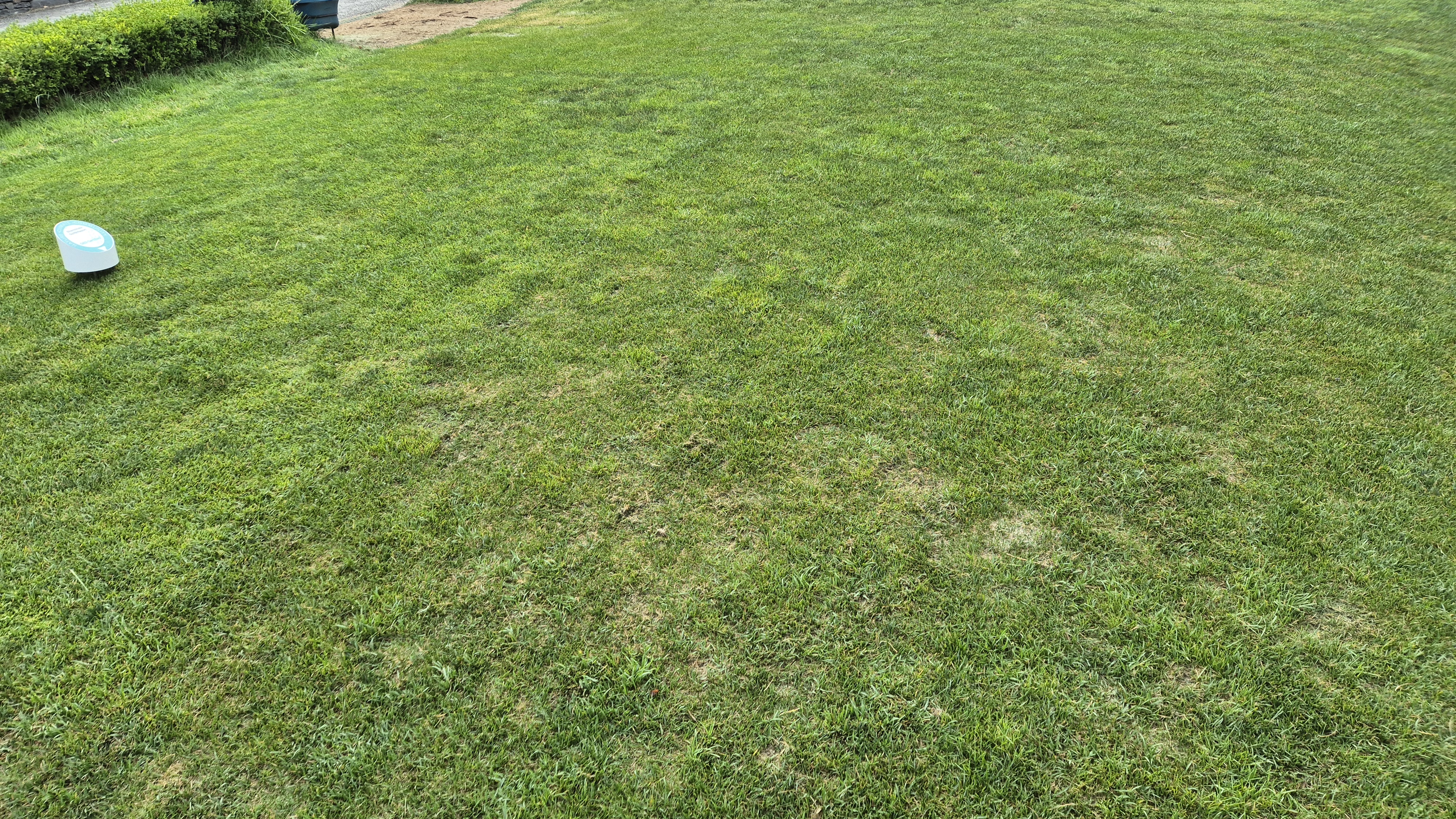 샴발라cc 라운드 후기