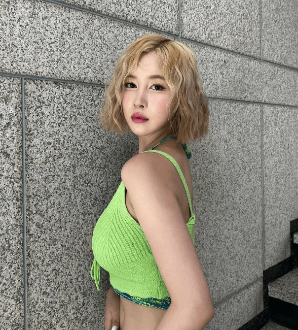 굴착기 앰배서더 아이돌