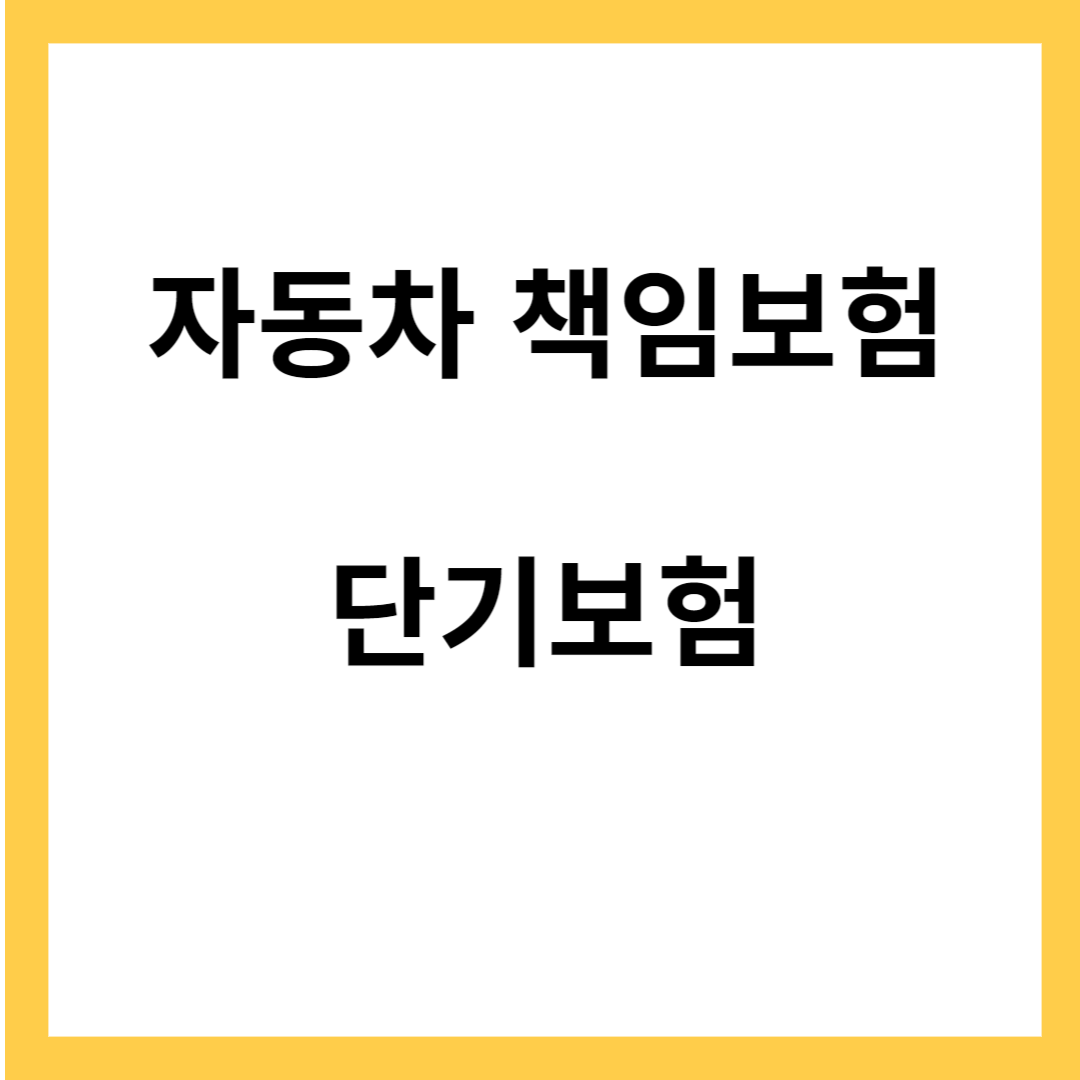 자동차 책임보험