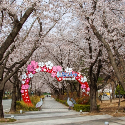 2025년 부곡온천축제