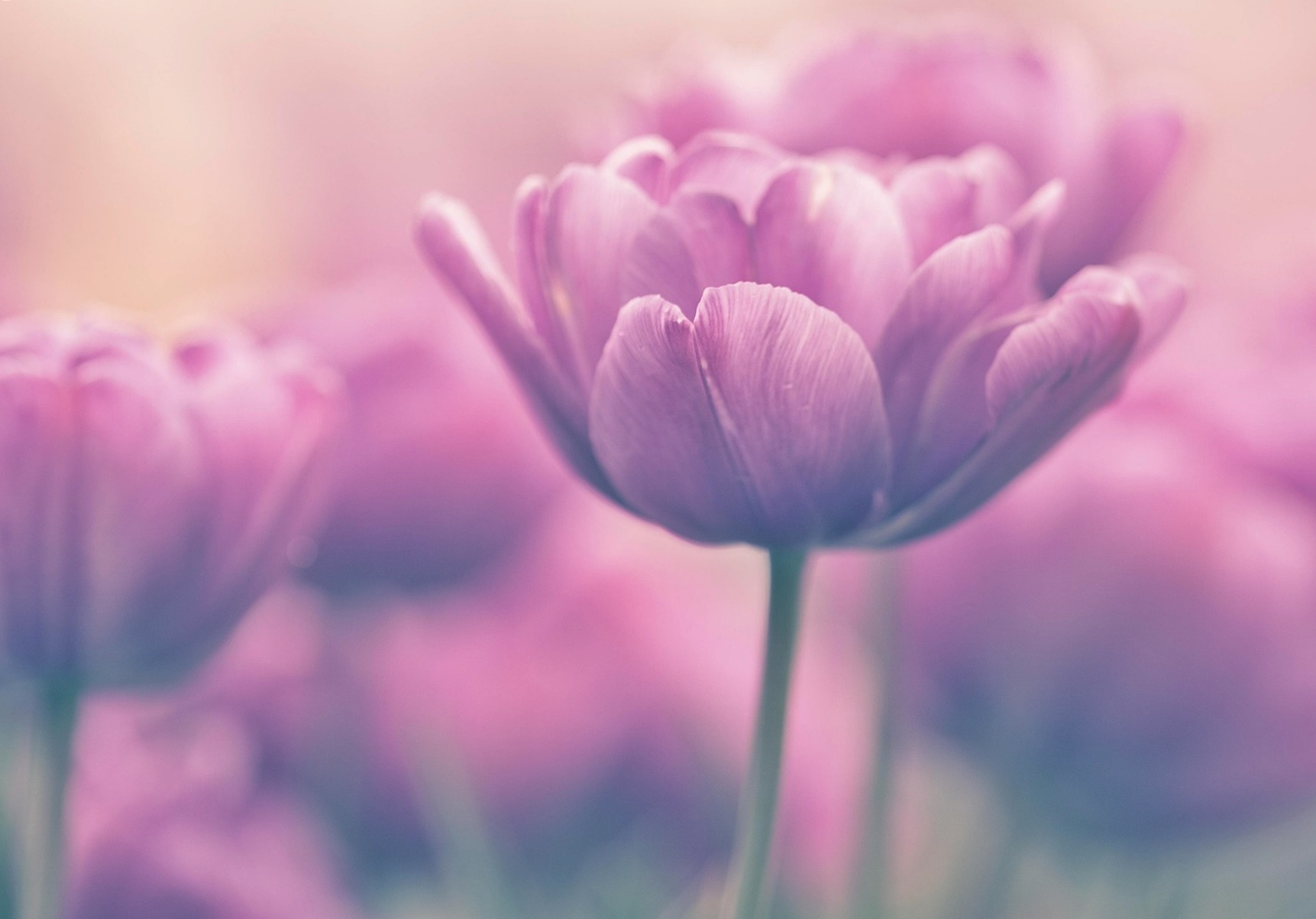 인생 후반, 관계를 줄였더니 오히려 마음이 편해진 이유!