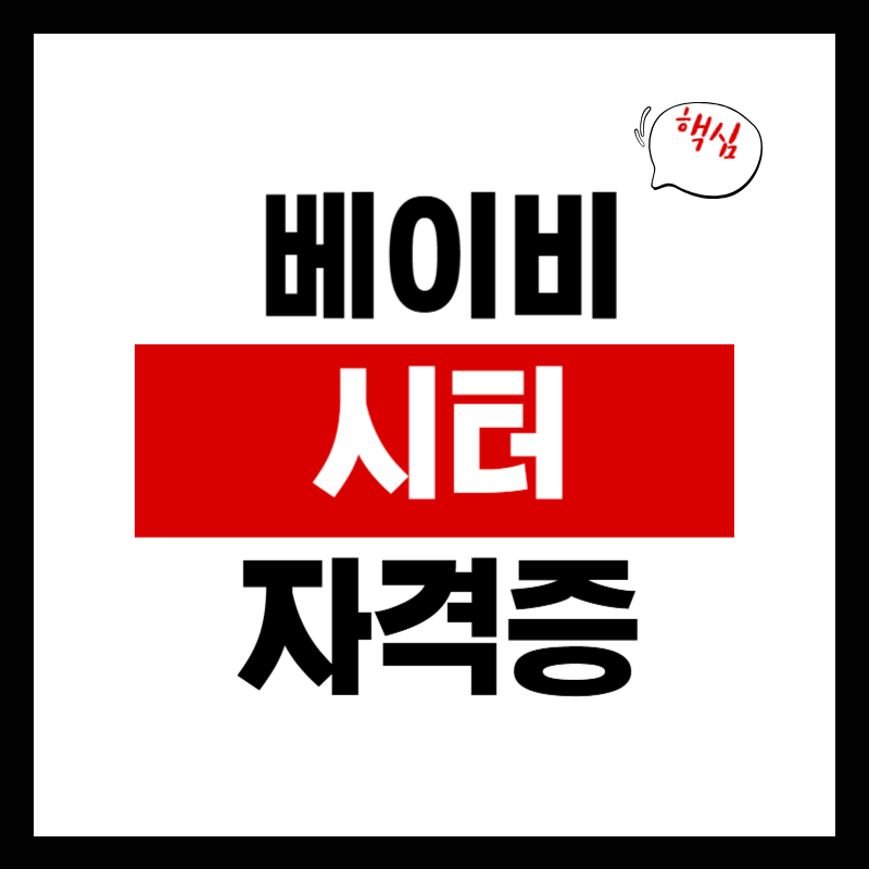 베이비시터 자격증, 취득 방법, 활용