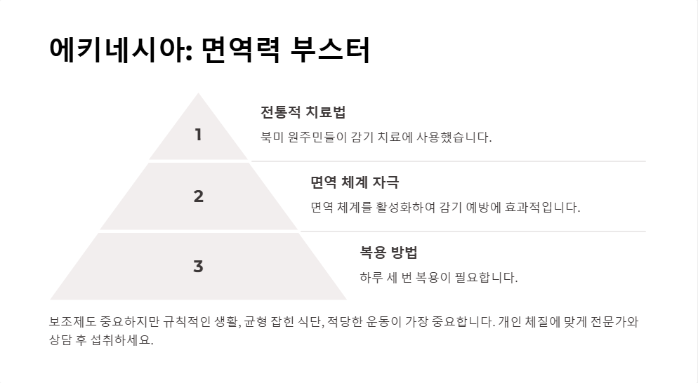면역력 강화 보조제 추천