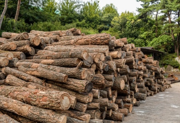 참숯가마-숲을그리다