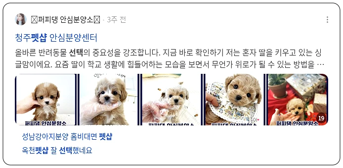 펫샵 선택_3_subsection