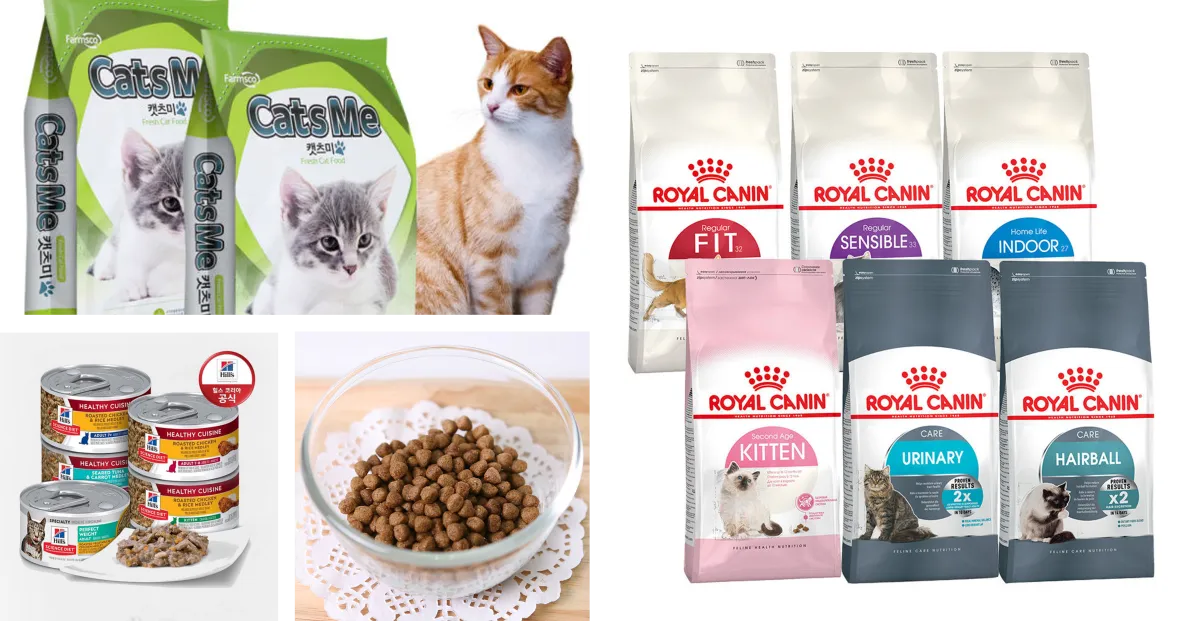 고양이-필수품-사료-종류