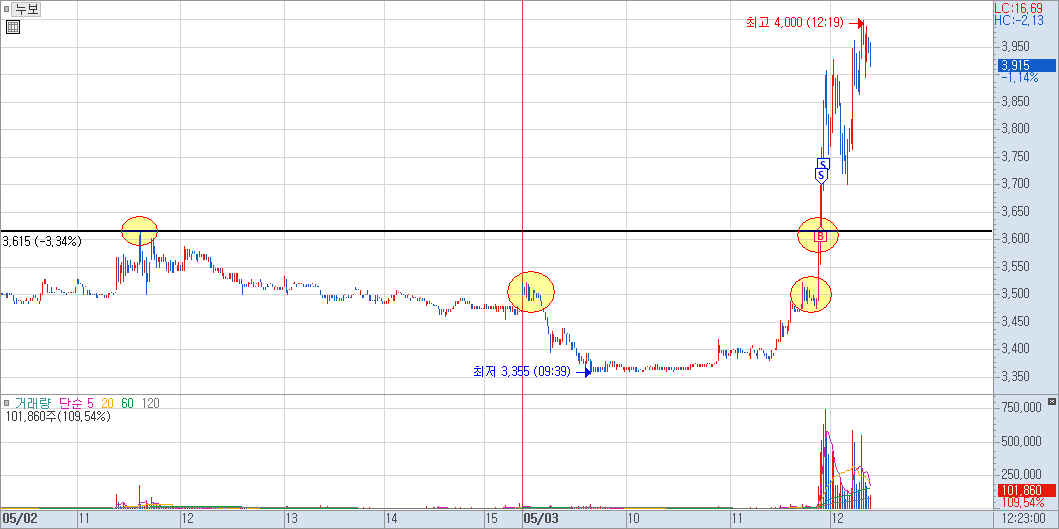 누보 분봉 차트
