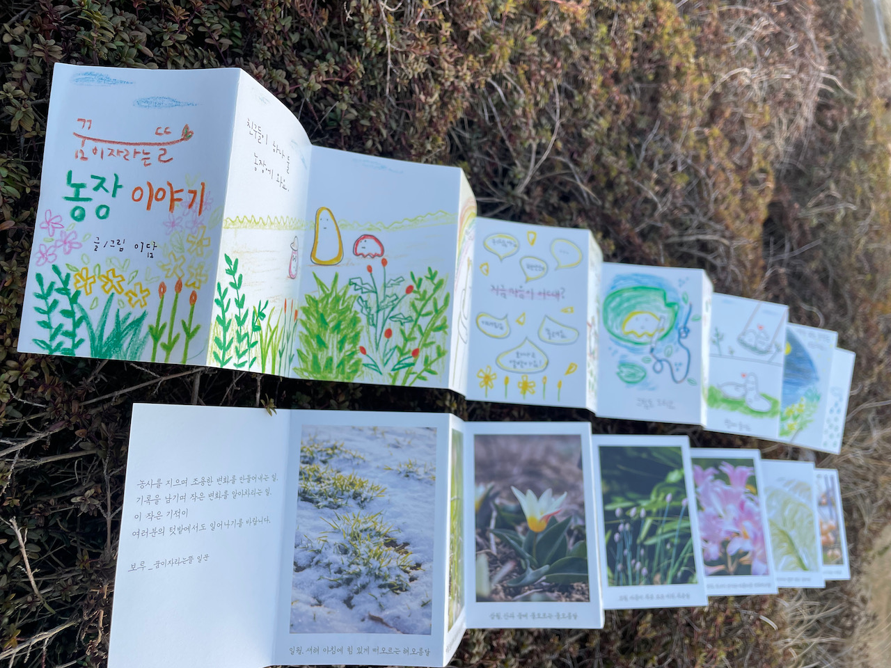 꿈뜰농장 손바닥책