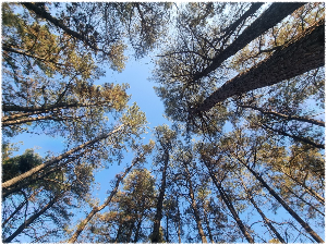 7월 가볼만한곳 10곳 대전광역시