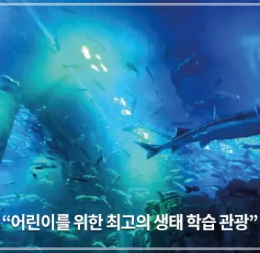 고수동굴-입장료-할인-운영-시간
