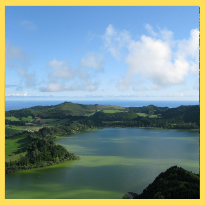 농어민공익수당 신청