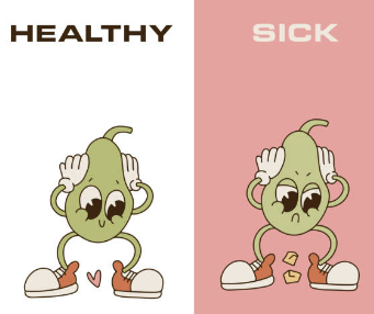 담낭염의 증상&amp;#44; 제거 수술&amp;#44; 치료 원인 좋은 음식 알아보기