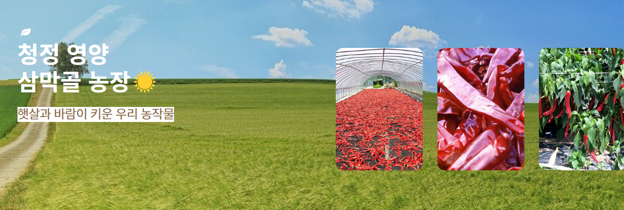 영양 건고추 직거래