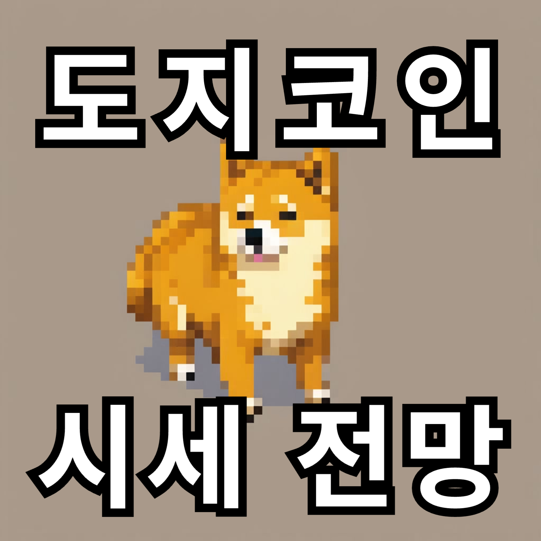 도지코인 시세 전망 일론 머스크의 영향