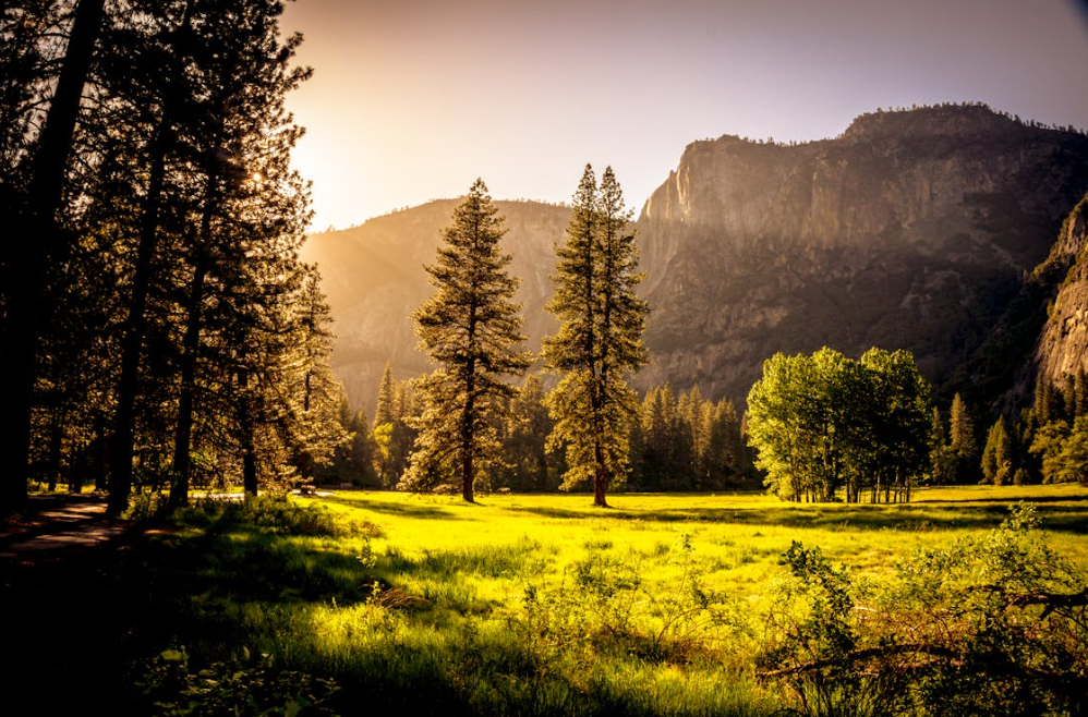 황금연휴 인파 피해 힐링 가능한 국내 소도시 조용한 여행지 추천