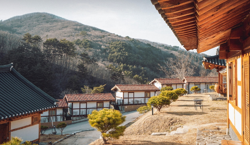전국 대표 체험 프로그램 소개: 문화·자연·역사 체험
