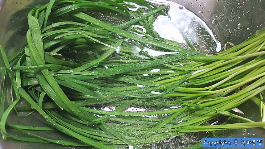 사이다에-부추-담구기