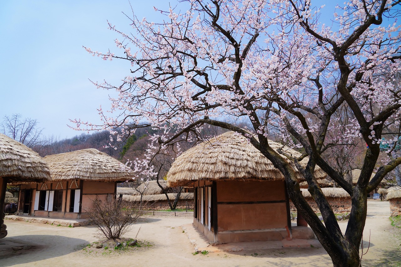 용인 민속촌 사진