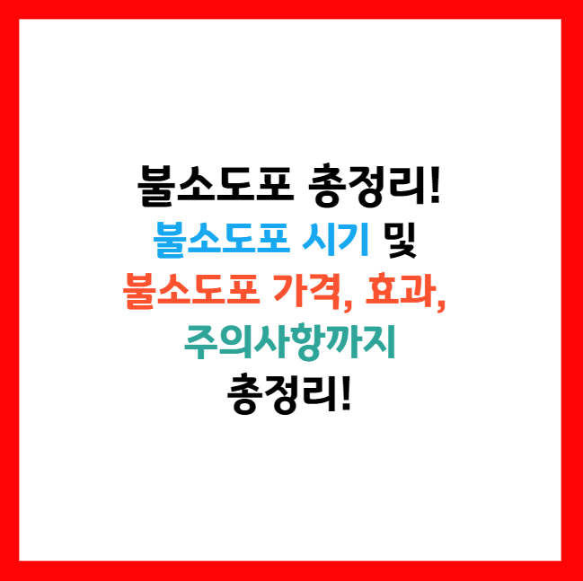 불소도포 주의사항