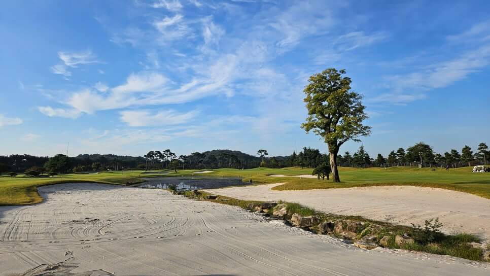골프장 경험담 당진 파인스톤cc 대형 멋진 정원에서 환상의 골프 운동