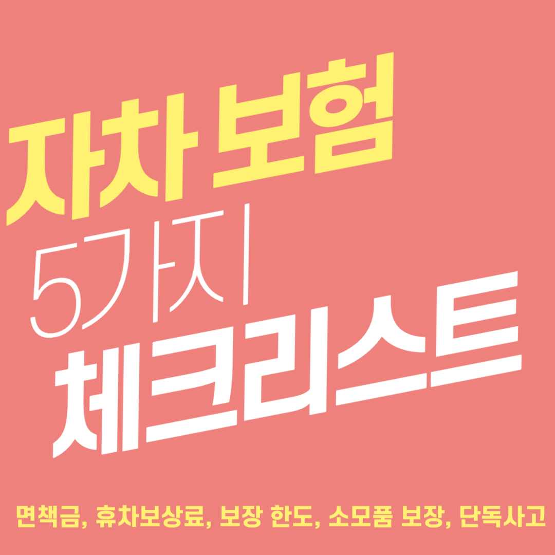 자차보험 체크리스트