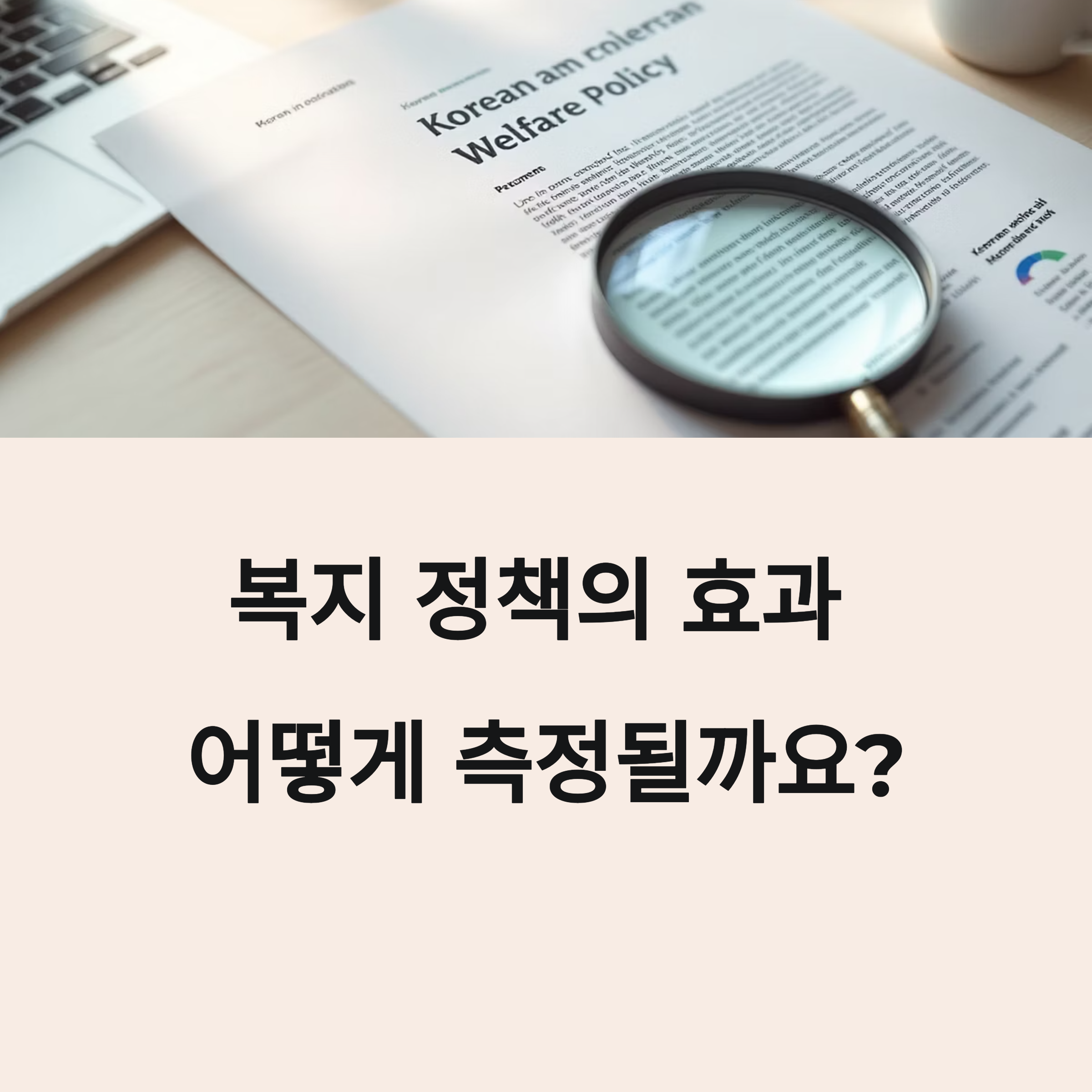 복지 정책