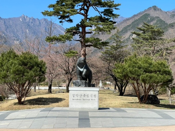 대체텍스트