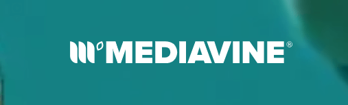 미디어바인으로 블로그 광고 수익 2배 올리는 방법