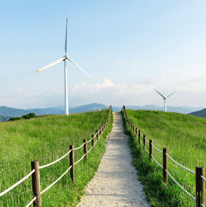 대관령 삼양라운드힐