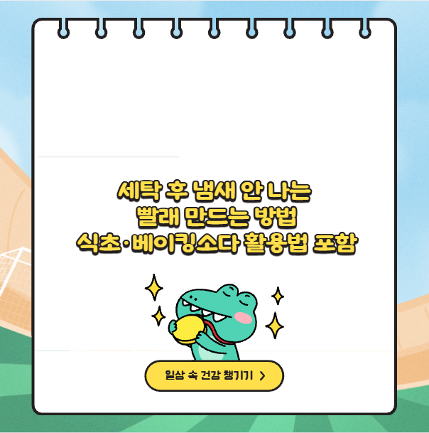 세탁 후 냄새 안 나는 빨래 만드는 방법 식초&middot;베이킹소다 활용법 포함