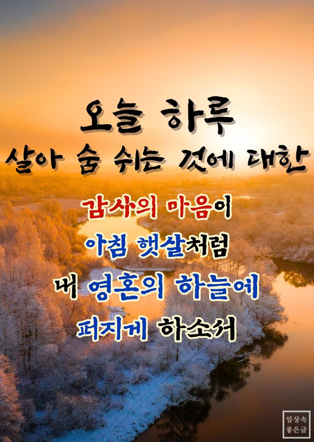 아침의 기도문 - 햇살이 비치는 겨울 숲