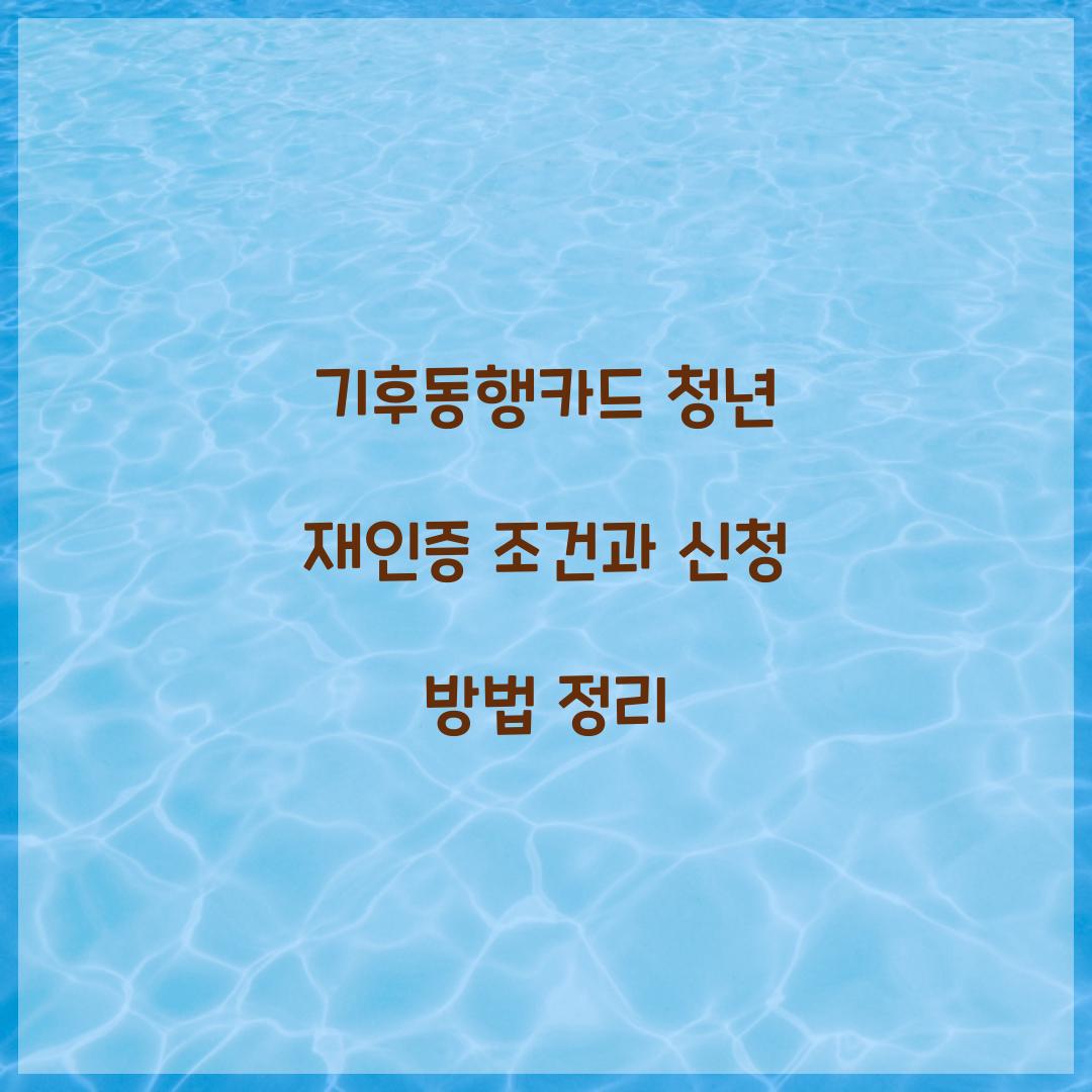 기후동행카드 청년 재인증