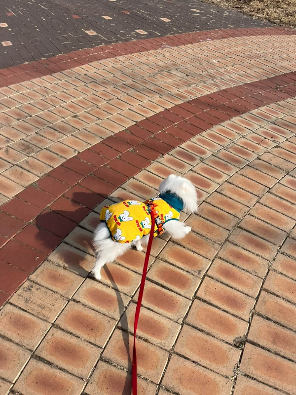 바잇미_패딩