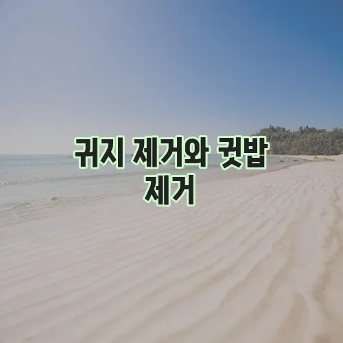 귀지 제거와 귓밥 제거, 왜 귀지가 생기는 걸까요?