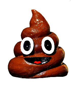 Health Monitoring Through Stool Observation.