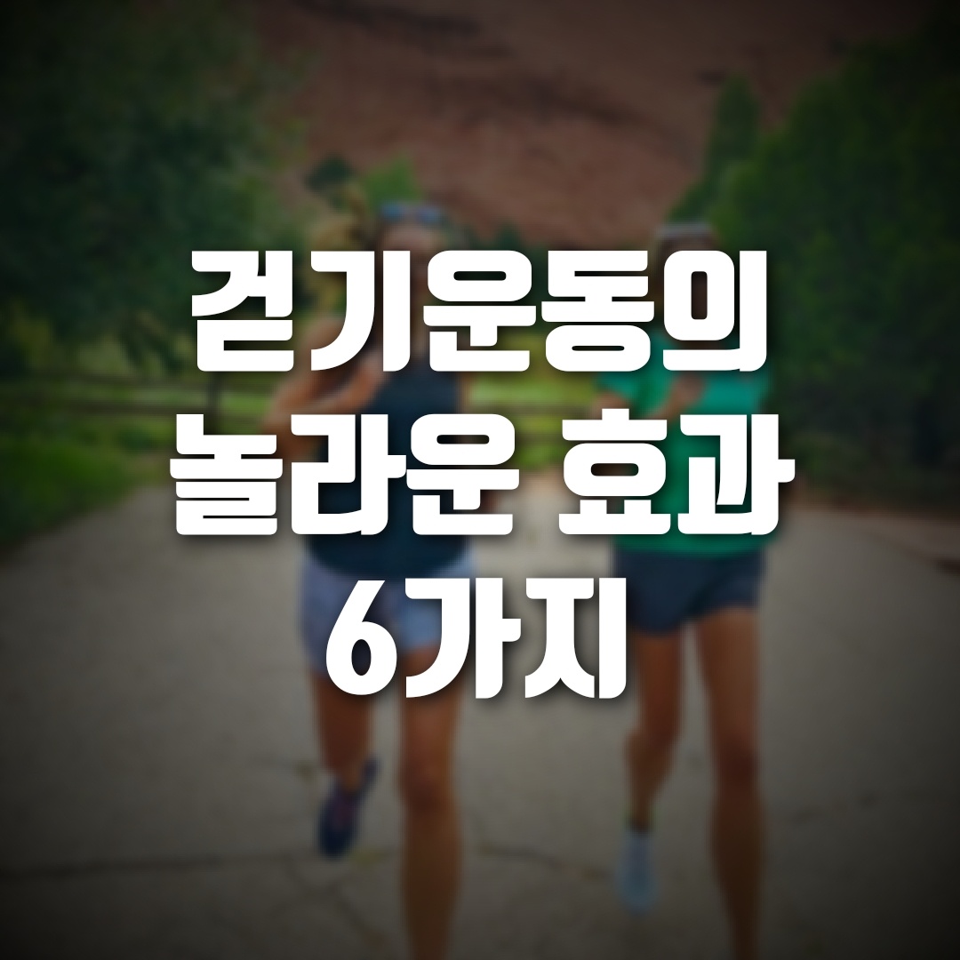 걷기운동 효과