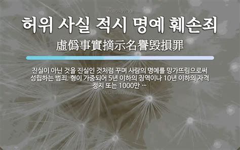 허위 사실 명예 훼손