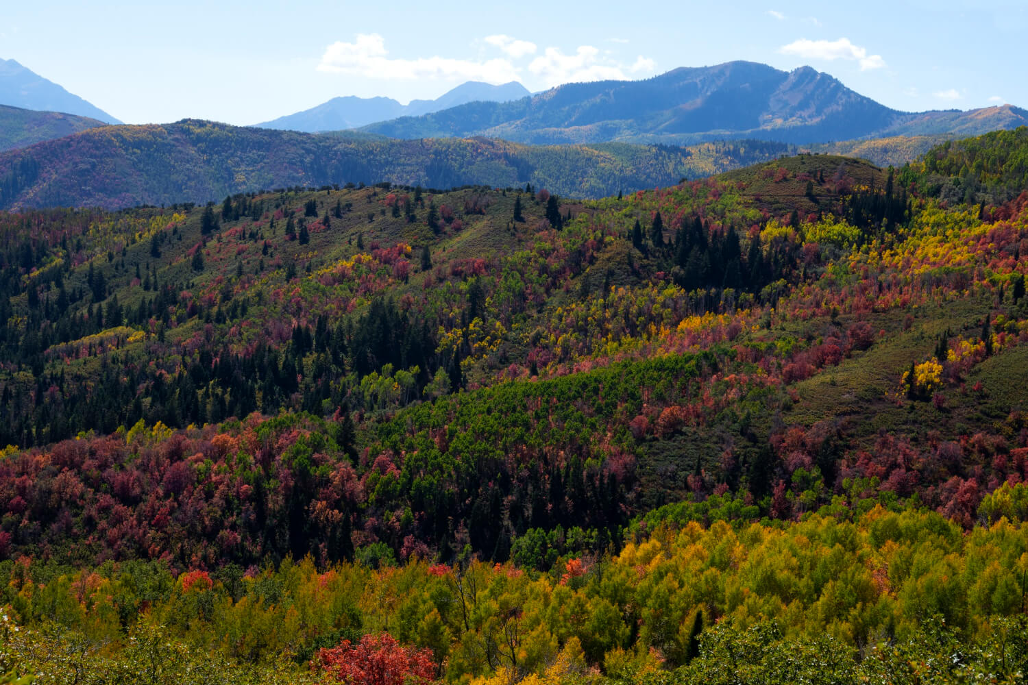 2025 화담숲 예약 방법