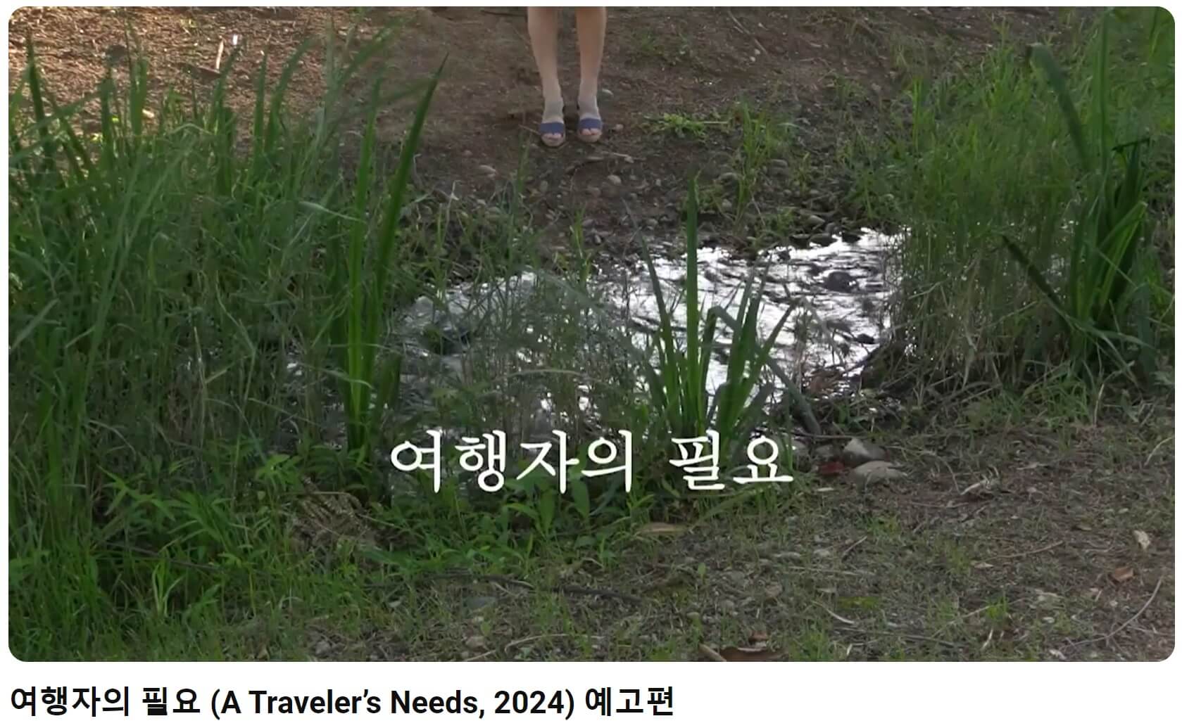 여행자의 필요 예고편