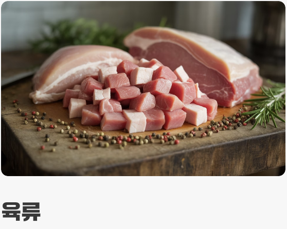 육식동물의 식사 시간 (먹이 가이드)