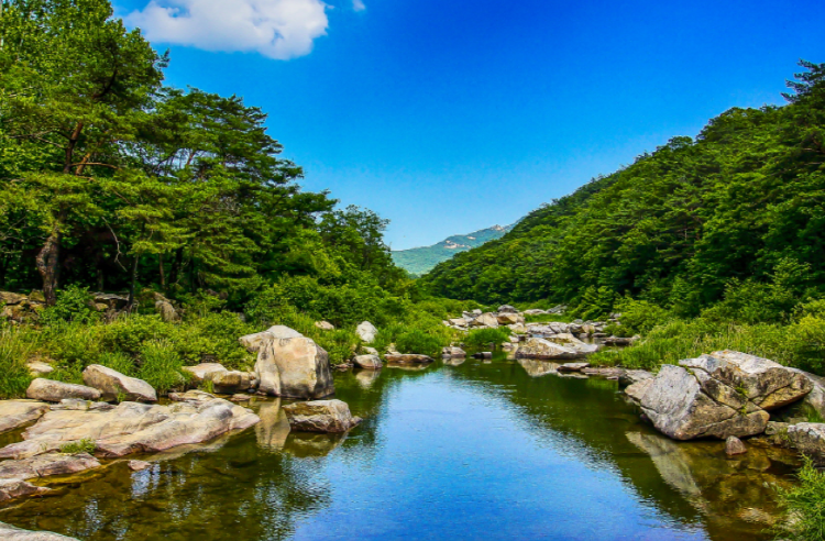 속리산 등산코스