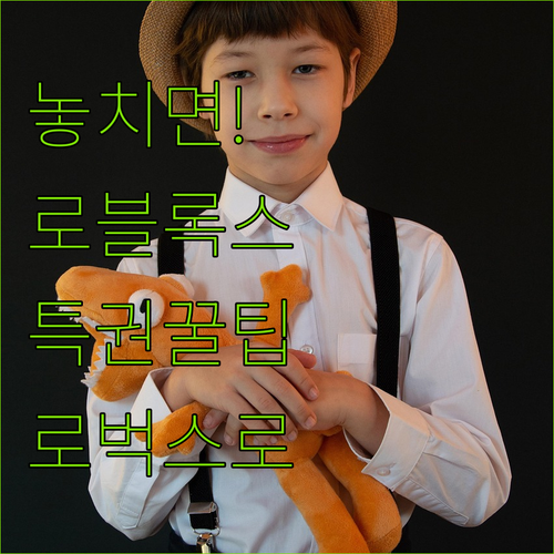 로블록스의 모든 특권 로벅스로 즐기는..