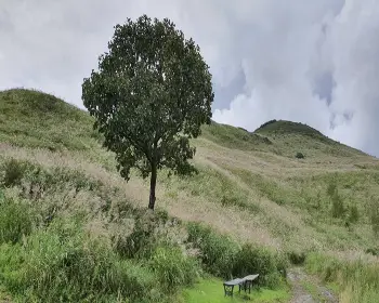 황매산 오토캠핑장_10