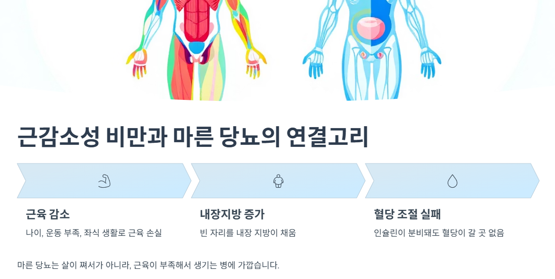 근감소성 비만과 마른 당뇨의 연결고리