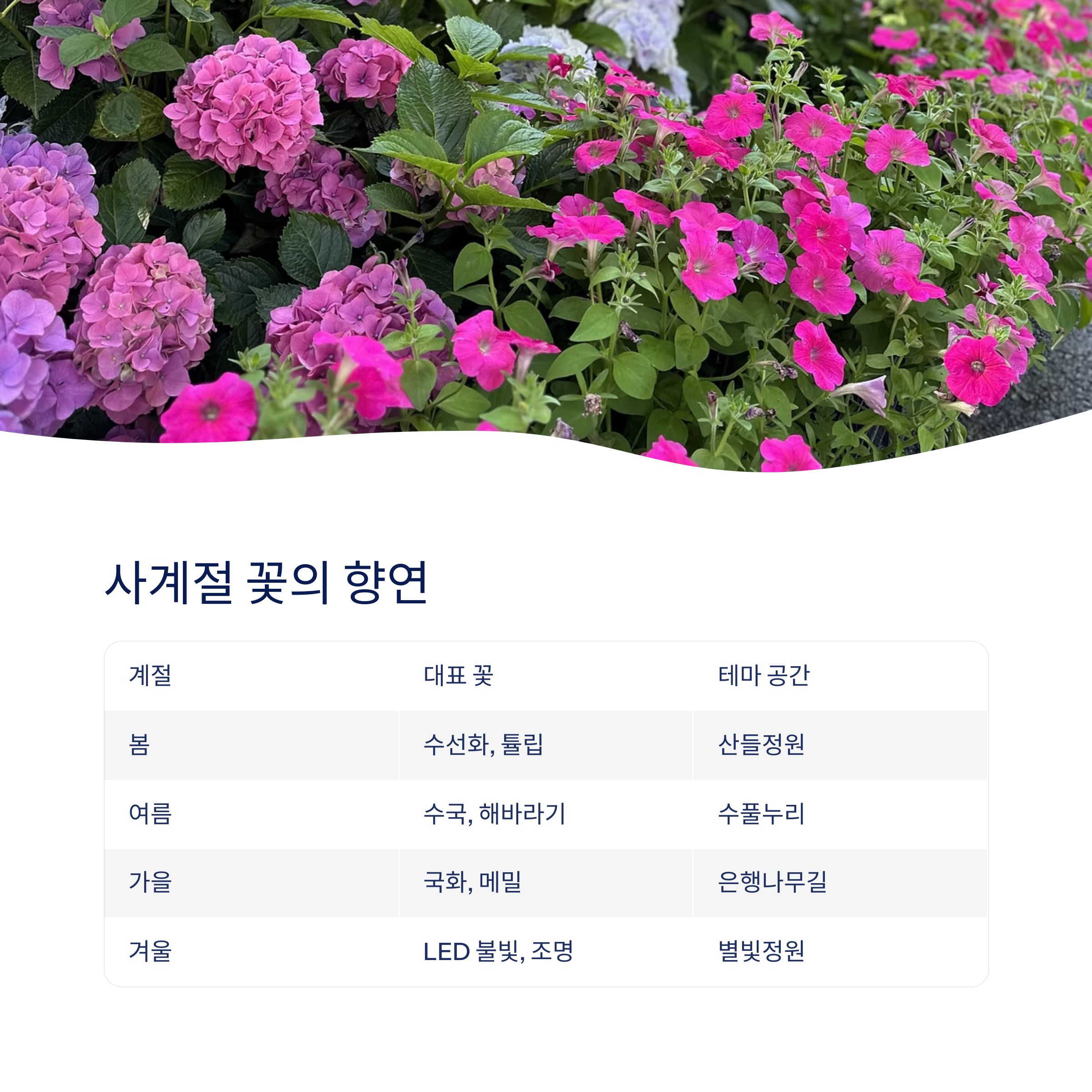 사계절 꽃의 향연